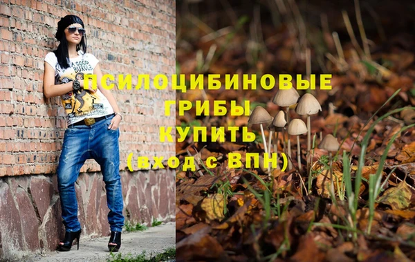 дживик Надым